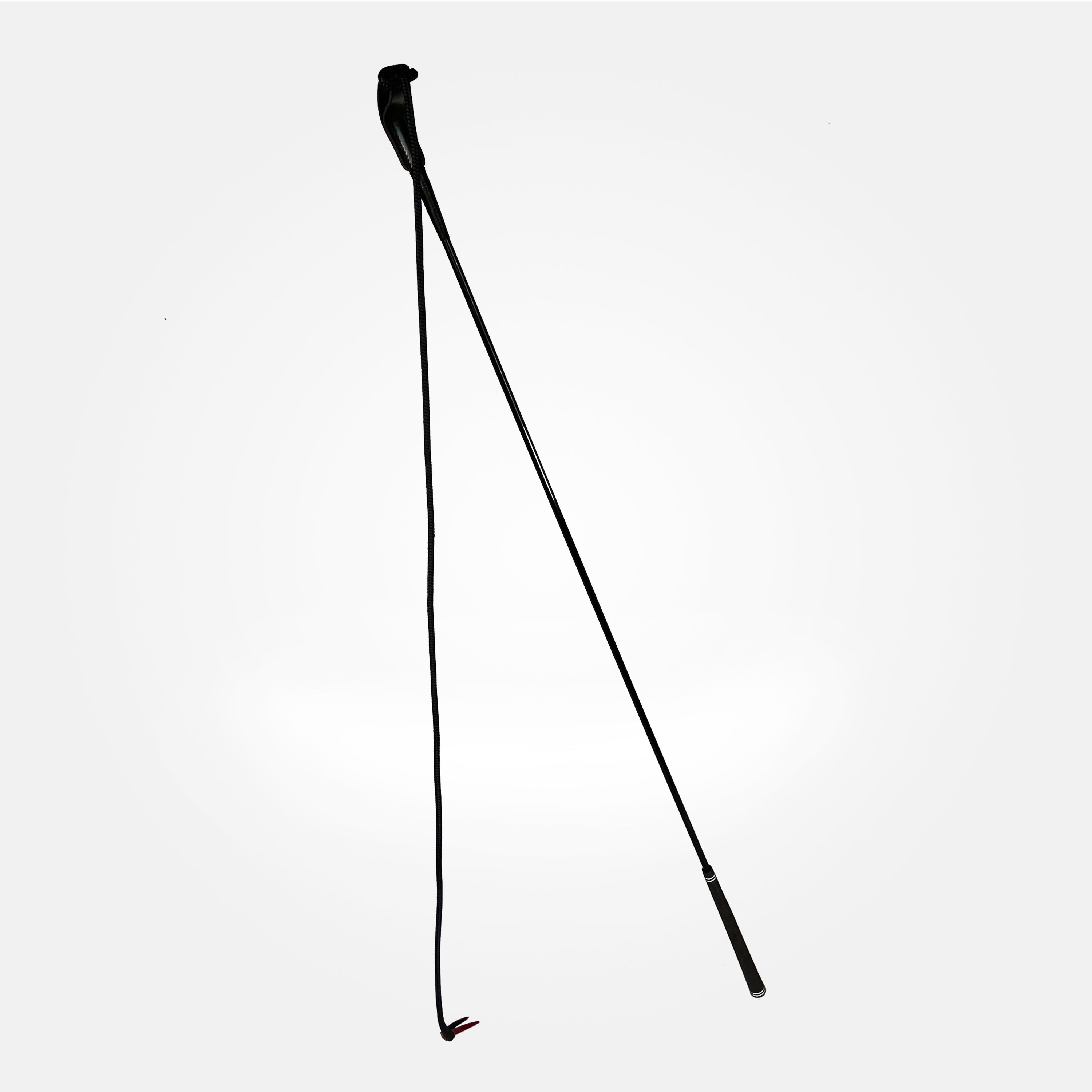 Brockamp Carrot Stick 1,20m mit String - FERD